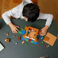Конструктор LEGO Minecraft, Жабешката къща-LYsrK.jpeg