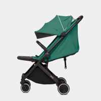 Лятна бебешка количка Anex Air-X, Green-Mqo7Y.jpeg