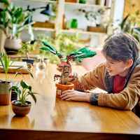 Конструктор LEGO Harry Potter, Мандрагора-NT3db.jpeg