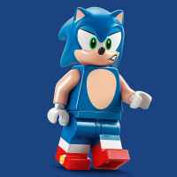 Конструктор LEGO Sonic the Hedgehog, Сблъсък край лагерния огън на Sonic-Op51i.jpeg