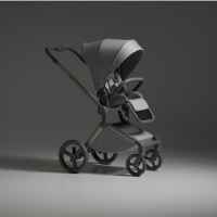 Комбинирана бебешка количка 3в1 Anex Flo, Frossy-PPebx.jpeg