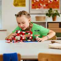 Конструктор LEGO Minecraft, Къщата на Муухоморка-QWudM.jpeg