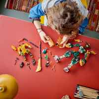 Конструктор LEGO Ninjago, Нинджа роботите на Лойд и Арин-RnuTt.jpeg