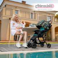 Лятна бебешка количка Chipolino Ейприл, фламинго-SDcCM.jpeg