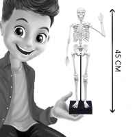 Образователна игра Buki France, Скелет, 45 см-UUkoJ.jpeg