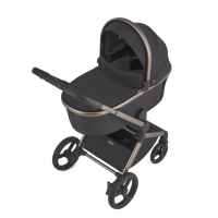 Комбинирана бебешка количка 3в1 Anex Flo, Solo-Wd10h.jpeg