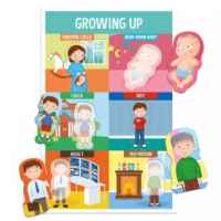 Образователна игра Headu, Да научим частите на тялото, Монтесори-XYijj.jpeg