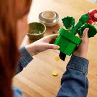Конструктор LEGO Super Mario Растение Пираня-Xzk7h.jpeg