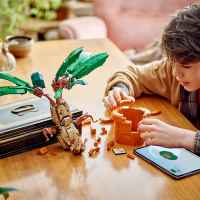 Конструктор LEGO Harry Potter, Мандрагора-YRAbx.jpeg