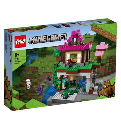 Конструктор Lego Minecraft, Тренировъчна площадка