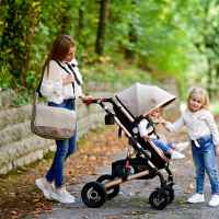 Комбинирана бебешка количка 2в1 Lorelli Alba Premium, Loden Green + Адаптори -Z4mJk.jpeg