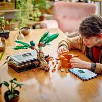 Конструктор LEGO Harry Potter, Мандрагора-ZZTrP.jpeg