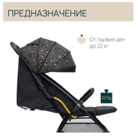Бебешка лятна количка Chicco Glee, Playful Black-ZyRk8.png