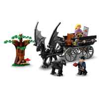 Конструктор LEGO Harry Potter Hogwarts Carriage & Thestrals Хогуортс: каляска и тестрали-aIPv0.jpg