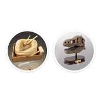 Издълбай сам череп на динозавър Тиранозавър Buki France-aiz43.jpeg