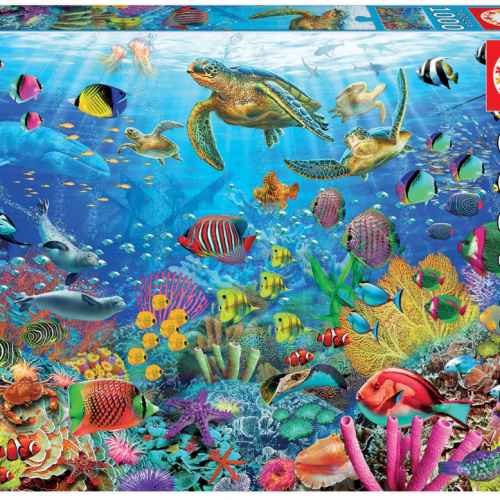 Пъзел Educa, Тропически костенурки, 1000 части