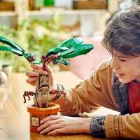 Конструктор LEGO Harry Potter, Мандрагора-cTSyU.jpeg