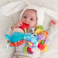 Плюшена активна играчка Playgro Activity Friend, Конче Хоп-Троп, с гризалка-e8y61.jpeg