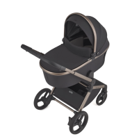Комбинирана бебешка количка 2в1 Anex Flo, Solo-ffp2M.png