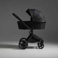 Комбинирана бебешка количка 2в1 Anex Flo, Lungo-fzzuc.jpeg