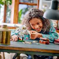 Конструктор LEGO Harry Potter, Хедуиг на „Привит драйв“ 4-iY2D4.jpeg