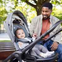 Лятна бебешка количка Joie finiti™ new, Ebony-jslYv.jpeg