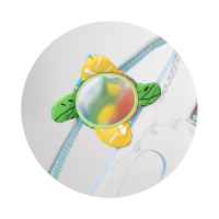 Постелка за активна гимнастика Chipolino, джунгла, с музика, светлина и топки-jtbv8.jpeg