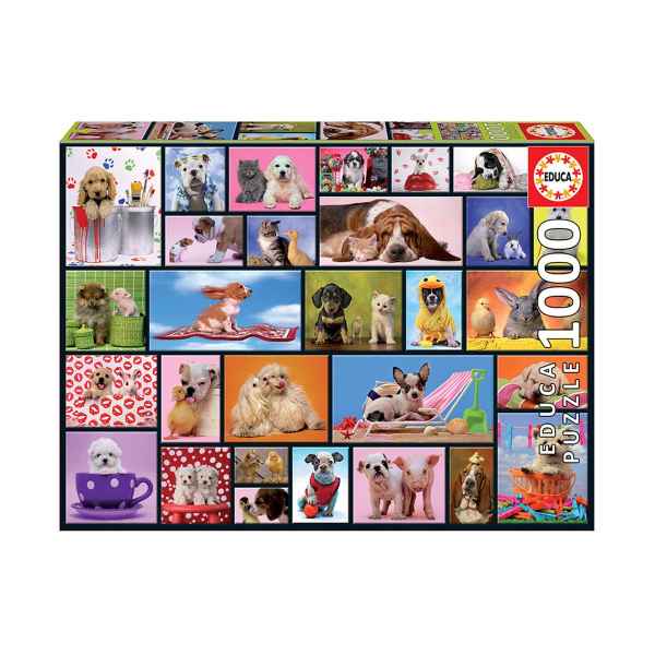 Пъзел Educa, Споделени моменти, 1000 части-lTRf5.jpeg