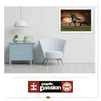 Пъзел Educa, Кон в тръс, 1000 части-nR2XA.jpeg