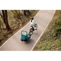 Бебешка лятна количка, триколка Hauck Dryk Duo 2в1, тип ремарке за велосипед, Rose-nRGoP.jpeg