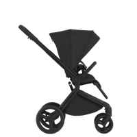 Комбинирана бебешка количка 2в1 Anex Flo, Lungo-neV51.jpeg