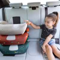 Седалка за кола Lorelli Orion, Black Rabbit-pnMgZ.jpeg