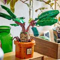 Конструктор LEGO Harry Potter, Мандрагора-tkW4g.jpeg