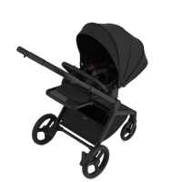 Комбинирана бебешка количка 2в1 Anex Flo, Lungo-u5FY8.jpeg