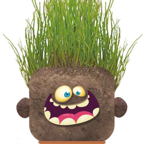 Чичко тревичко Hape, Щастливият Ханк