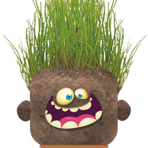 Чичко тревичко Hape, Щастливият Ханк-wMIz6.jpeg