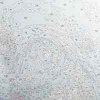 Творчески комплект Craft Buddy, Рисуване по номера, Вила на свещи-yul8k.jpeg