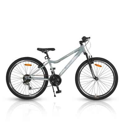 Велосипед Byox 26“ Avenue, grey